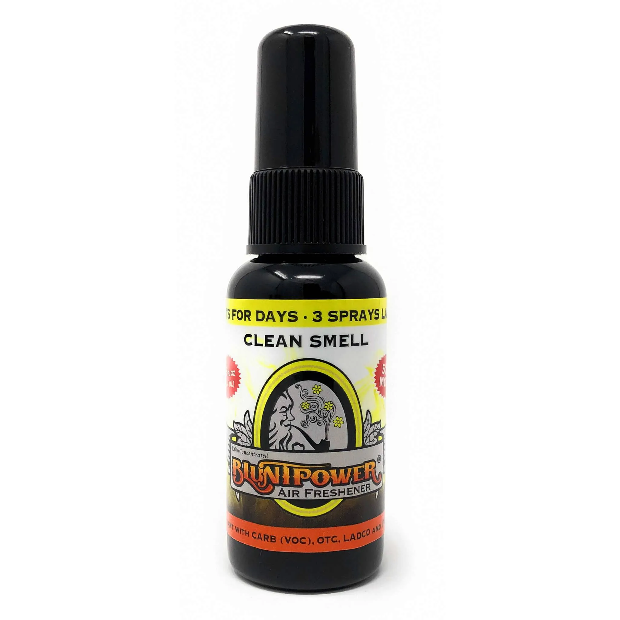 Clean Smell Spray Air Freshener Bundle (3 Pack)